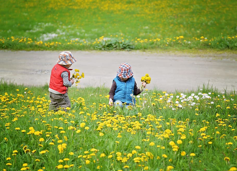 two children picking up flowers during daytime, Human, pick flowers, HD wallpaper