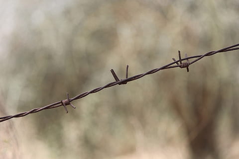 barbed wire, barb wire, prison, barrier, sharp, danger, security HD wallpaper