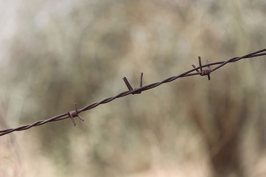 barbed wire, barb wire, prison, barrier, sharp, danger, security HD wallpaper