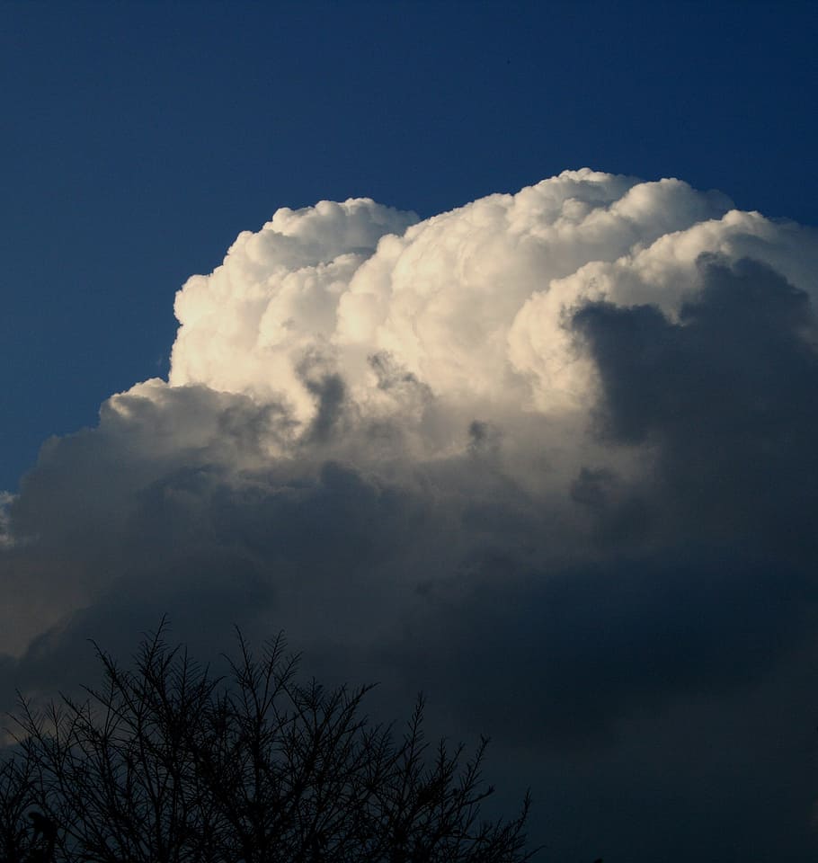 cloud, large, cumulus, billowing, white, shadowed, brush, sky HD wallpaper