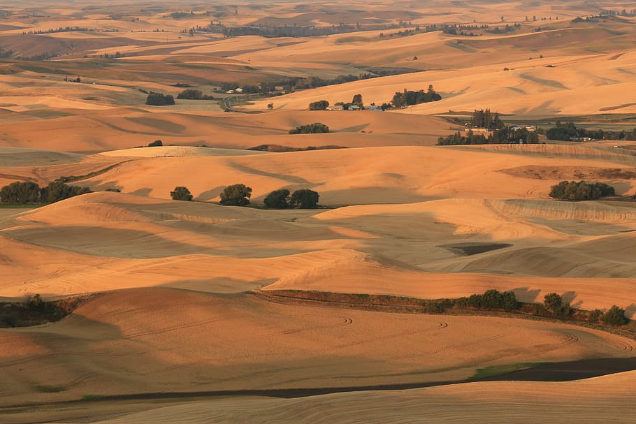 bird's eye view of desert, desert at daytime painting, field HD wallpaper