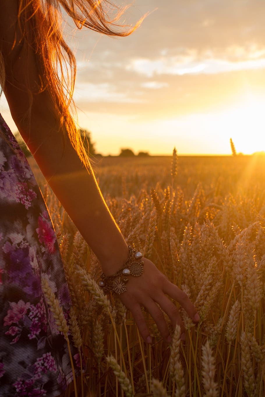 woman standing beside wheat field, sunset, girl, young, dom, summer, HD wallpaper