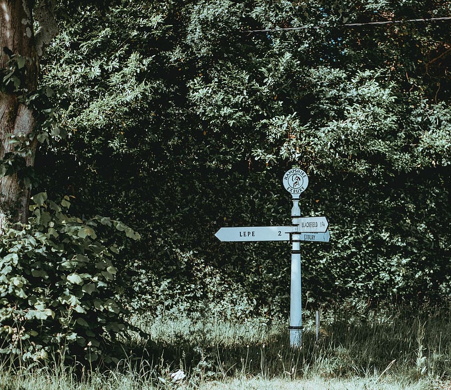 New Forest Signpost, white and black wooden rod sign near trees and plants, HD wallpaper