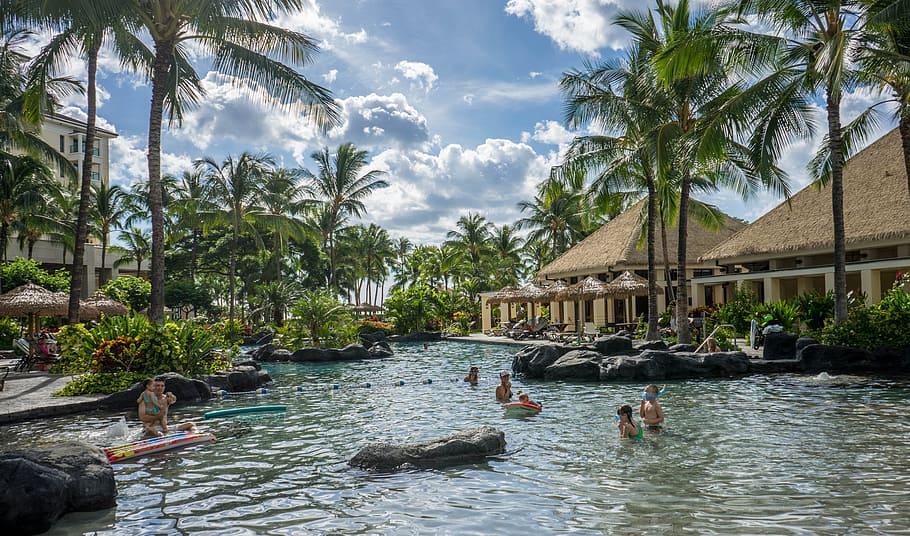 pool, resort, tropical, palm trees, sky, clouds, summer, water HD wallpaper