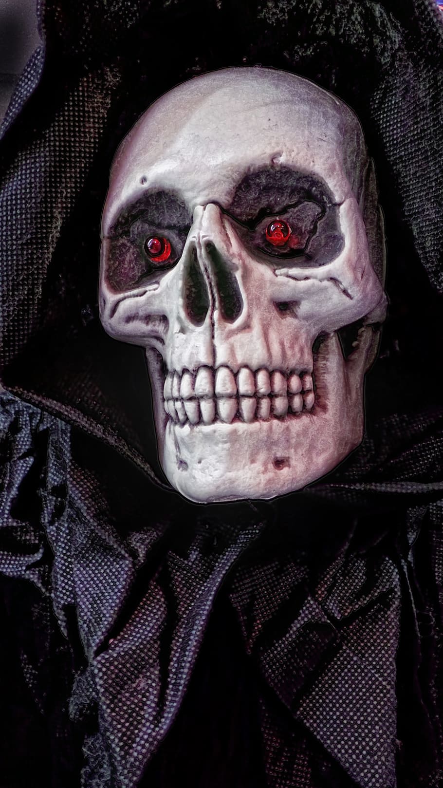 human skeleton decor, halloween, mask, skull, holiday, halloween costume