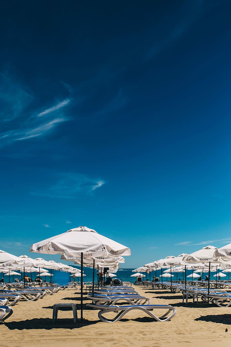 Umbrellas and lounge chairs on Sunny Beach, Bulgaria, ocean, sand