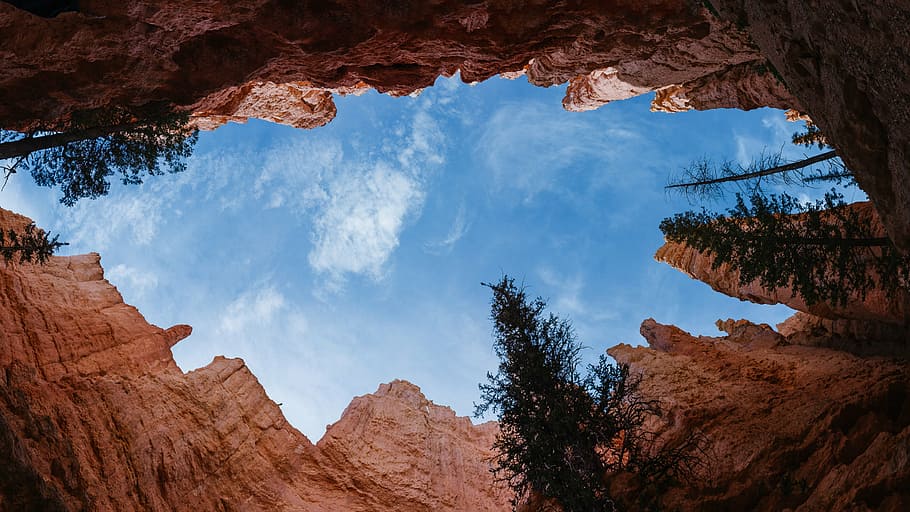 low-angle view of sky and trees between rock cliffs, nature HD wallpaper