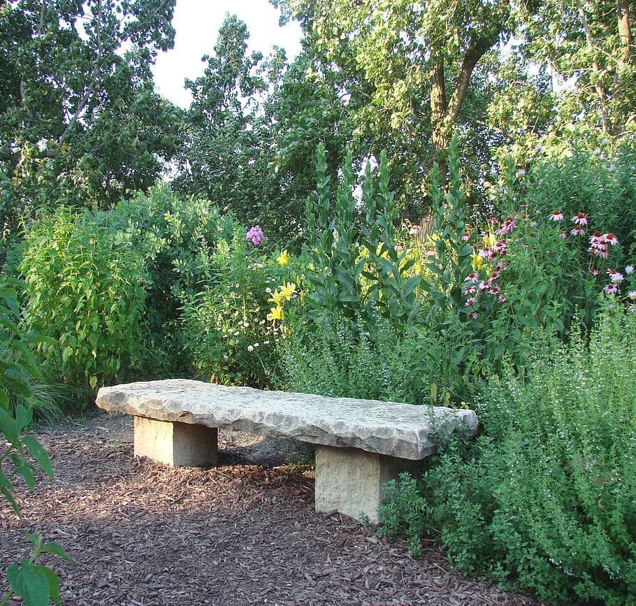 stone, bench, flowers, plants, nature, summer, tree, growth HD wallpaper