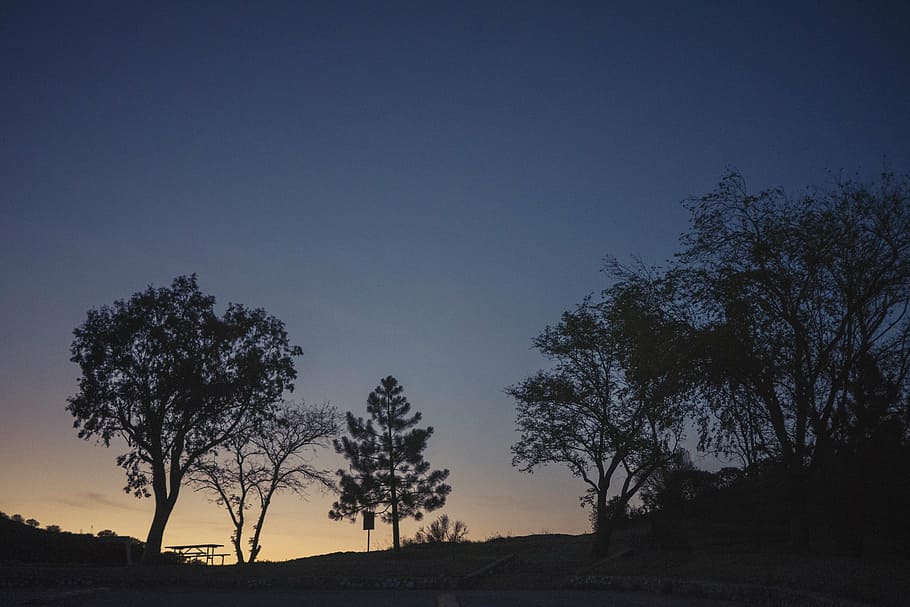 sunset, dusk, silhouette, trees, nature, sky, dark, night, evening HD wallpaper