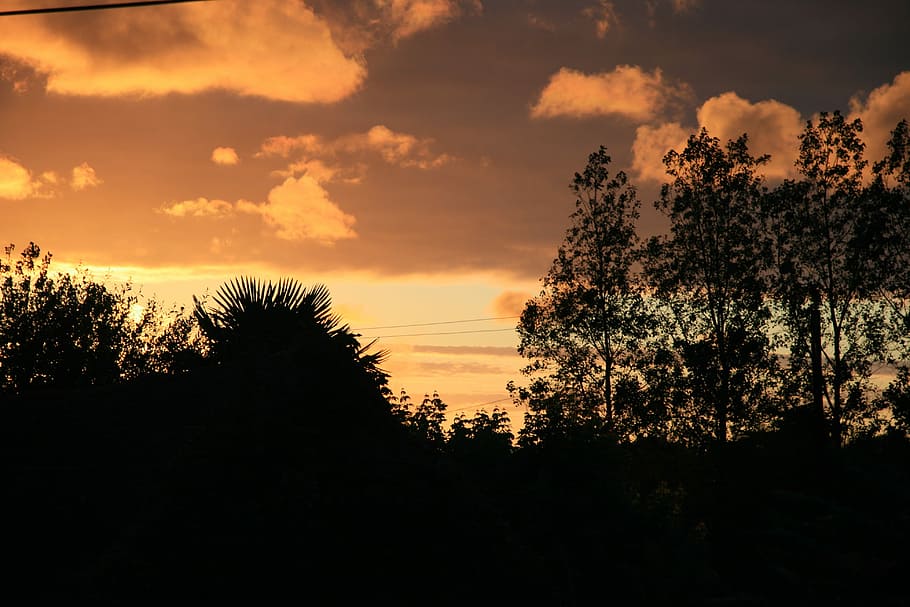 Sunset, Shadow, Twilight, tree, silhouette, cloud - sky, nature HD wallpaper
