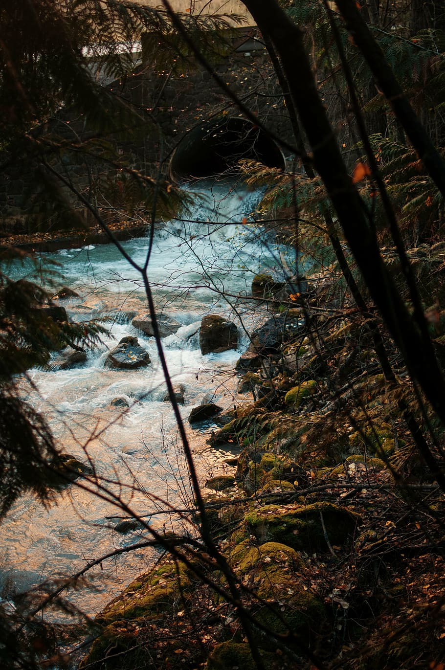river and trees, green, leaf, near, blue, stream, water, drainage HD wallpaper