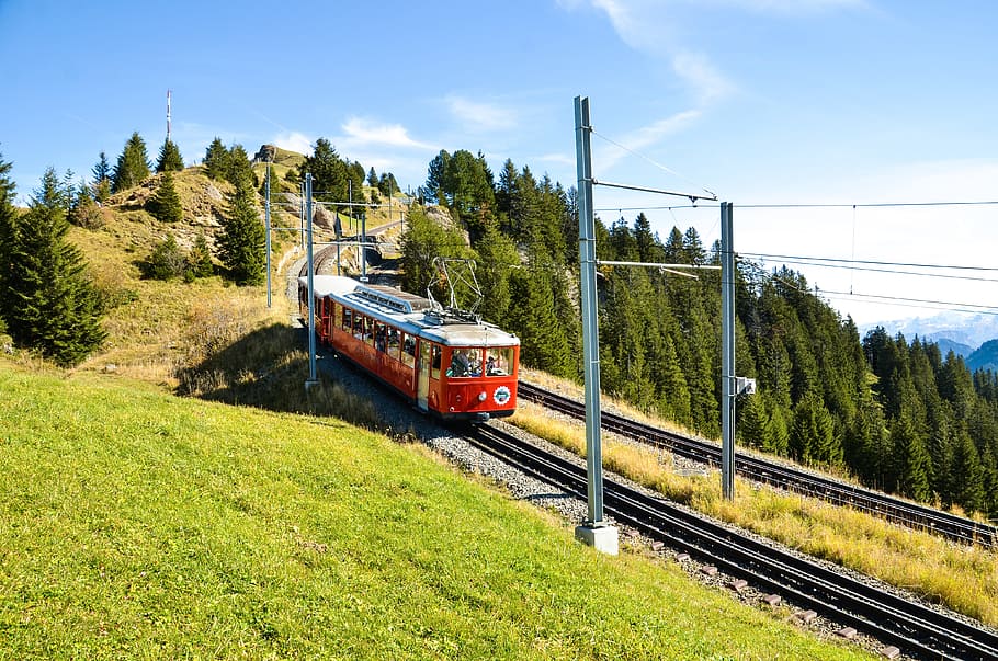rigi, alm, alp, vitznau-rigi railway, rack railway, train tracks, HD wallpaper