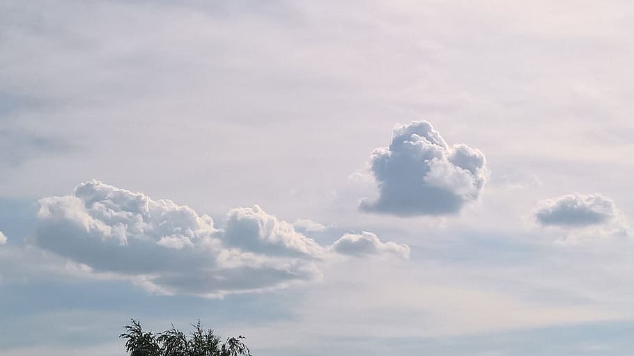 merchant louis, moss, clouds, light, cloud - sky, beauty in nature HD wallpaper