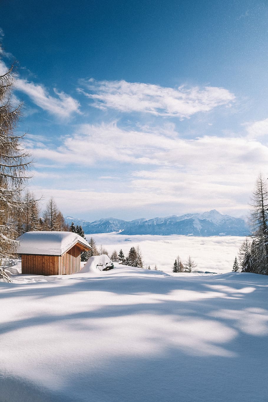 brown cabin near forest trees, brown shed covered in snow, austria HD wallpaper