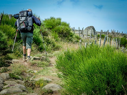 hiker, aubrac, path, compostelle, walker, hiking, backpack HD wallpaper