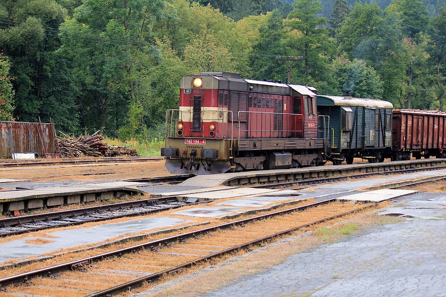 Forest, Station, Freight Train, railroad track, transportation HD wallpaper