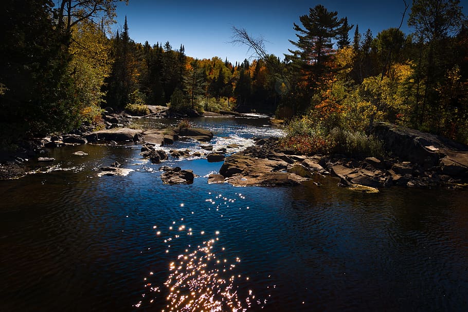 river, reflections, nature, water courses, trees, light reflections HD wallpaper