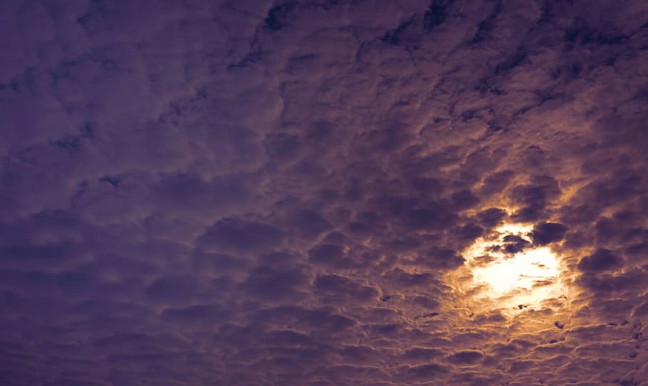 nimbus cloud formation, clouds, evening, sun underground, red HD wallpaper