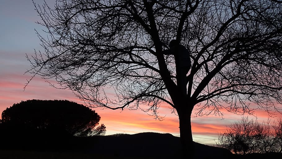 tree, silhouette, child, sun, nature, against the light, mountain HD wallpaper