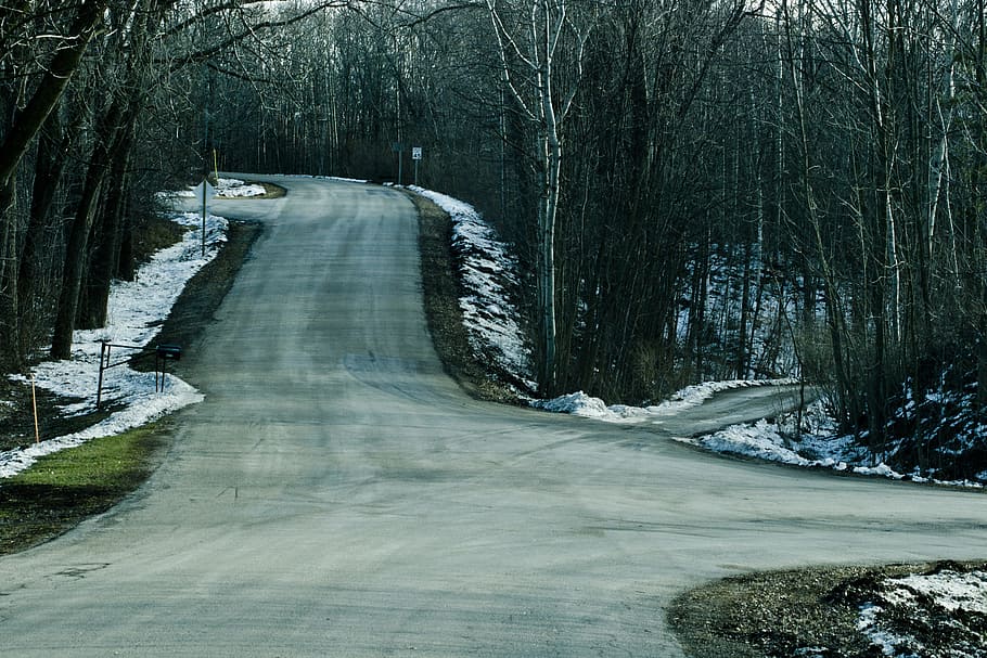 empty road near forest, trees, winter, woods, rural, country HD wallpaper