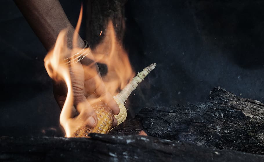 time-lapse photography of person holding corn with fire, person burning corn HD wallpaper