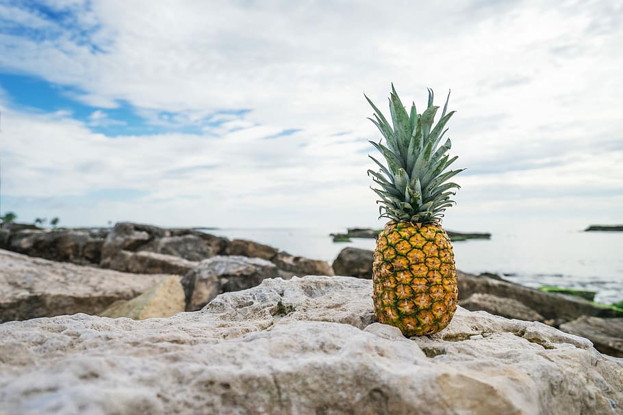 pineapple on stone near body of water, pineapple on rock, sky HD wallpaper