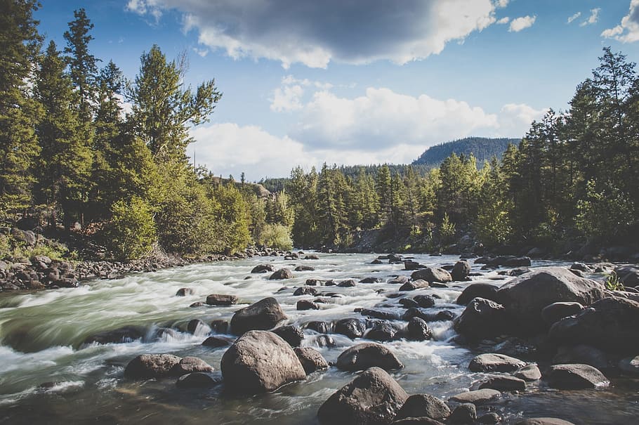 river, stream, water, rocks, trees, forest, nature, sky, sunshine HD wallpaper