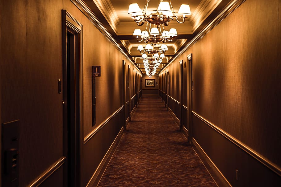 lights, hotel, wall, architecture, carpet, chandeliers, design