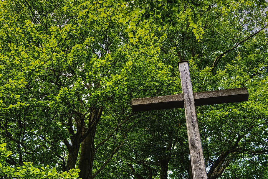 cross, summit cross, mountain, wooden cross, mountaineering HD wallpaper