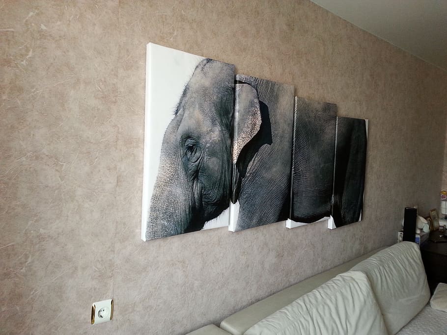 modular painting, elephant, animals, mammal, wildlife, large HD wallpaper