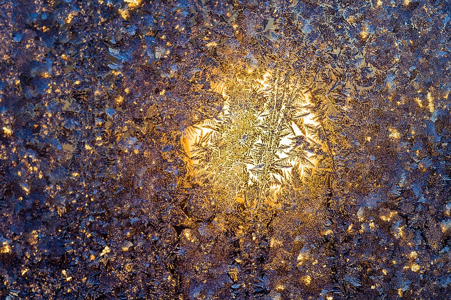 photo of leaves during daytime, sun, winter, disc, ice, eiskristalle HD wallpaper