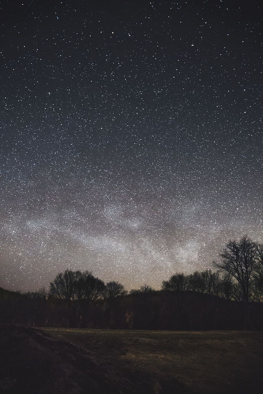 trees, plants, nature, sky, night, stars, galaxies, star - space HD wallpaper