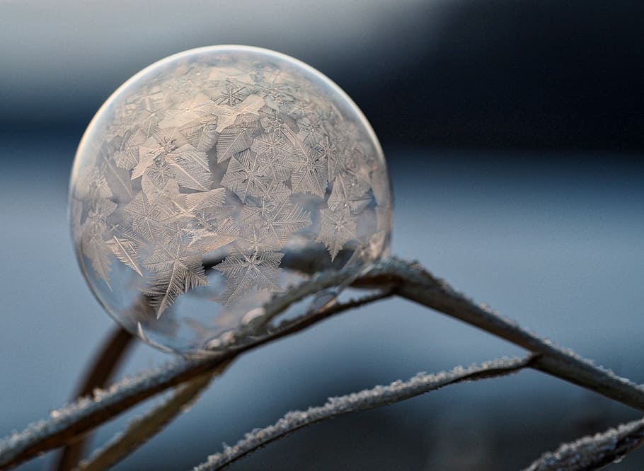 micro photography of bubble, macro shot of bubble, ice, winter HD wallpaper