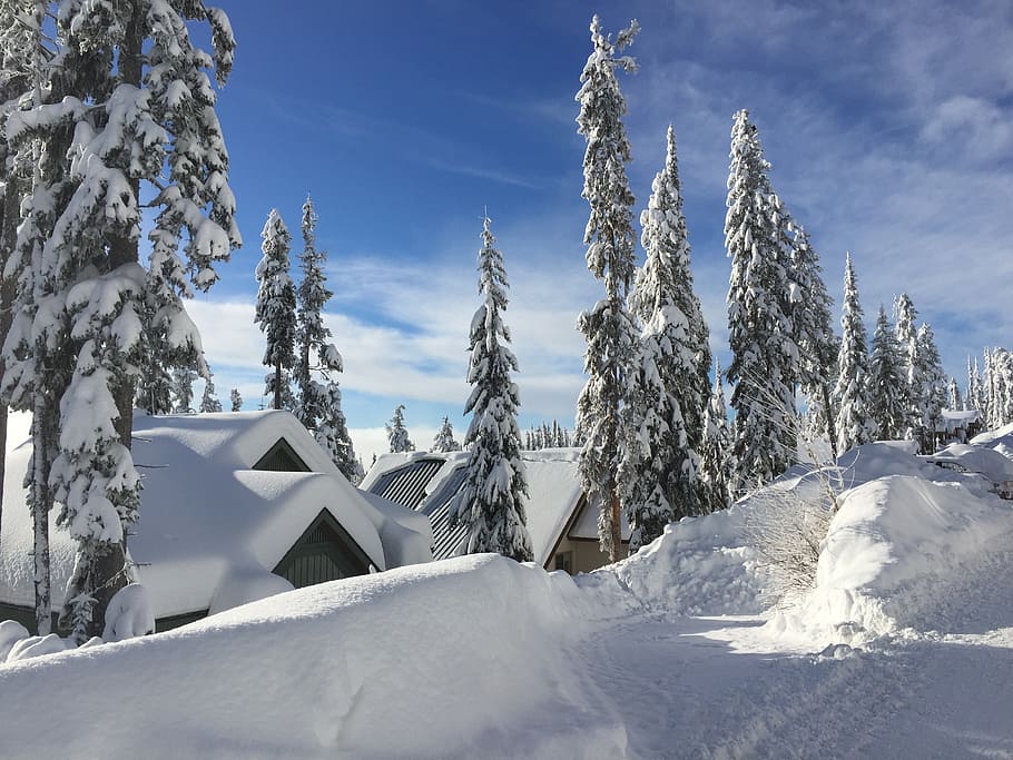 snow, chalet, blue sky, winter, ze, frozen, cold temperature HD wallpaper