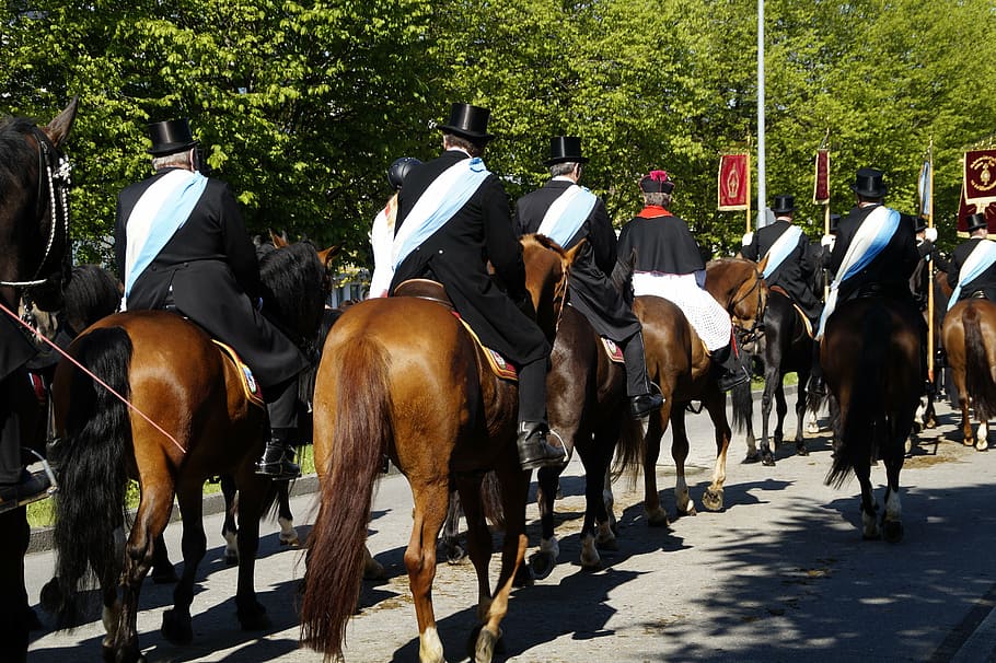 procession, equestrian procession, vineyard, blood ride, relic HD wallpaper