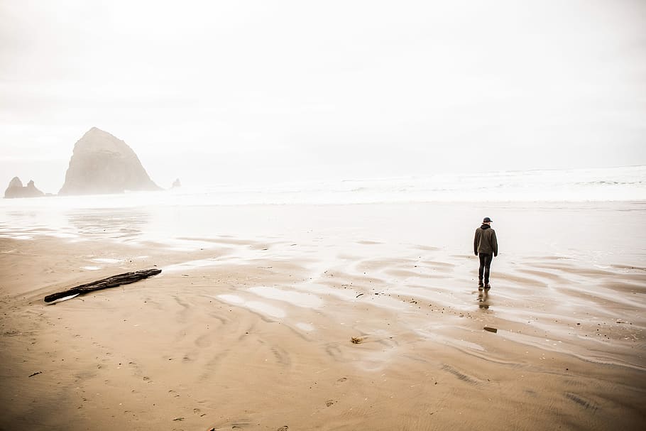 man walking on shore during daytime, rule of thirds photography of person standing on brown sand HD wallpaper