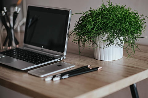 Silver Acer laptop on a wooden desk with a green plant, pencils and an Apple iPhone HD wallpaper