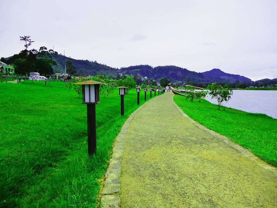 Path, Walkway, Sri Lanka, Lawn, green, landscape, wilderness HD wallpaper