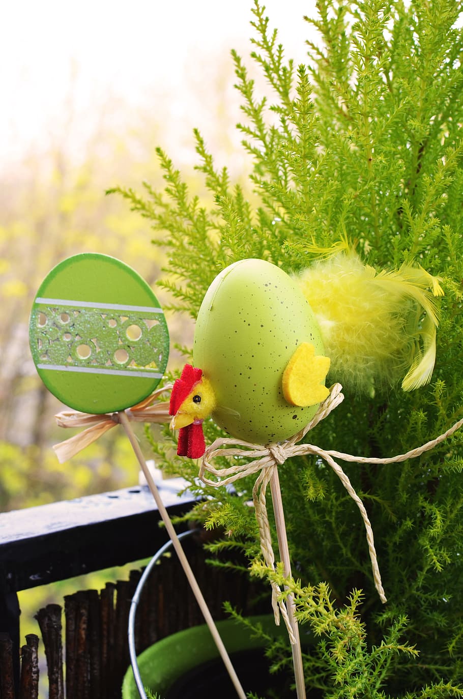 easter, decoration, plant, growth, green color, nature, focus on foreground HD wallpaper