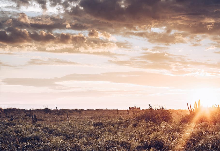 grass, sky, clouds, nature, sunlight, desert, adventure, travel HD wallpaper