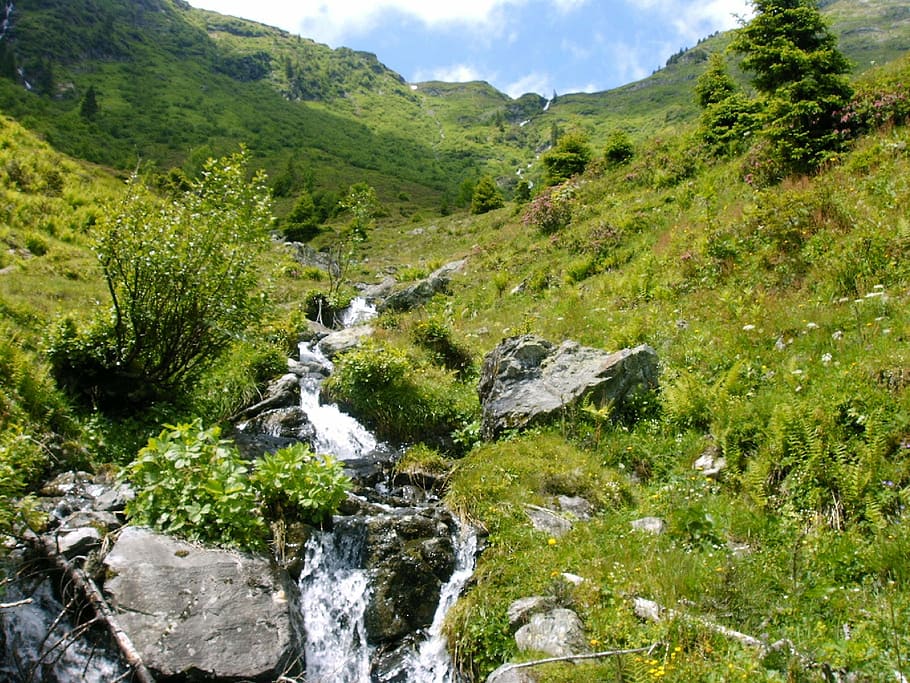 mountain stream, bach, mountains, alpine, alpine walk, nature HD wallpaper