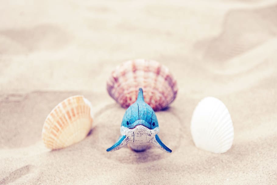 photo of blue and white dolphin figurine beside three seashells on beige sand, HD wallpaper