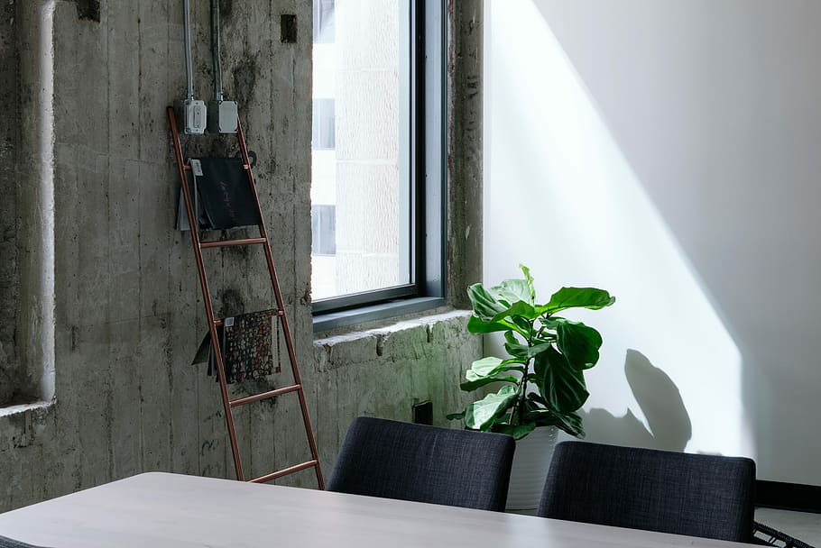 601 W 5th Street, Los Angeles, California, linear leafed plants in white pot near rectangular brown table HD wallpaper