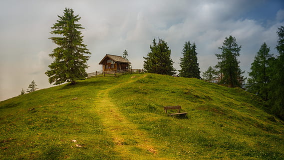 house on top of hill surrounded by trees, grass, landscape HD wallpaper