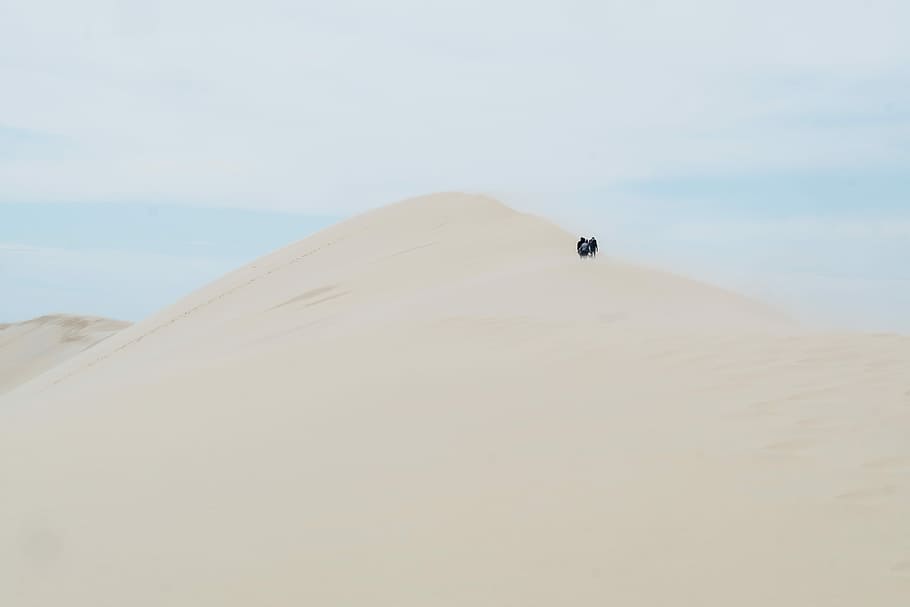 people standing on desert, person on desert, dune, sand, landscape HD wallpaper