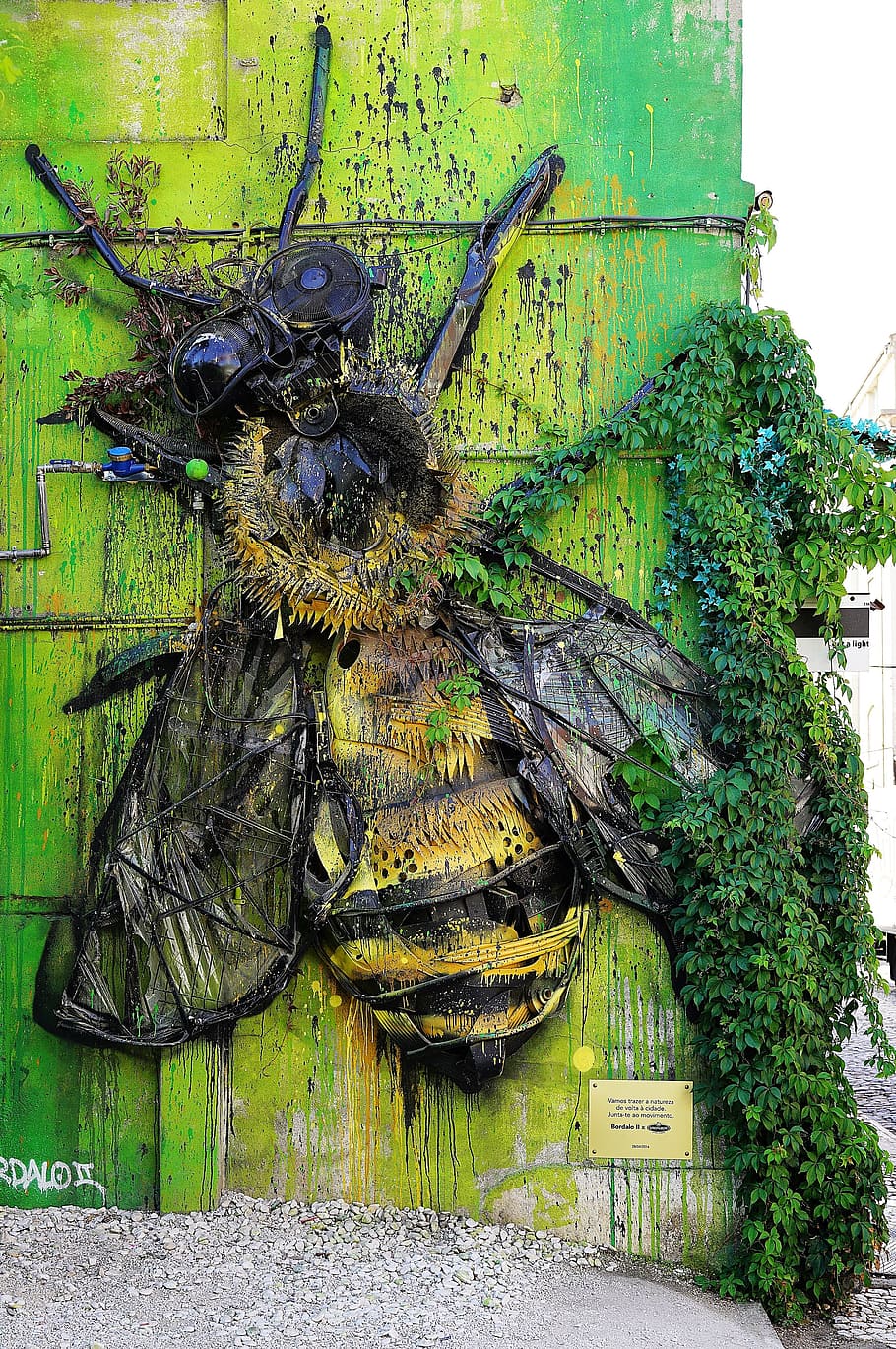 wall, decoration, décor, design, bee, wasp, fly, insect, bug HD wallpaper