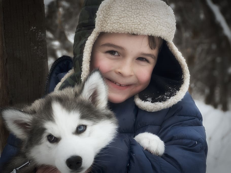 person wearing blue and black snow coat, husky, child, boy HD wallpaper