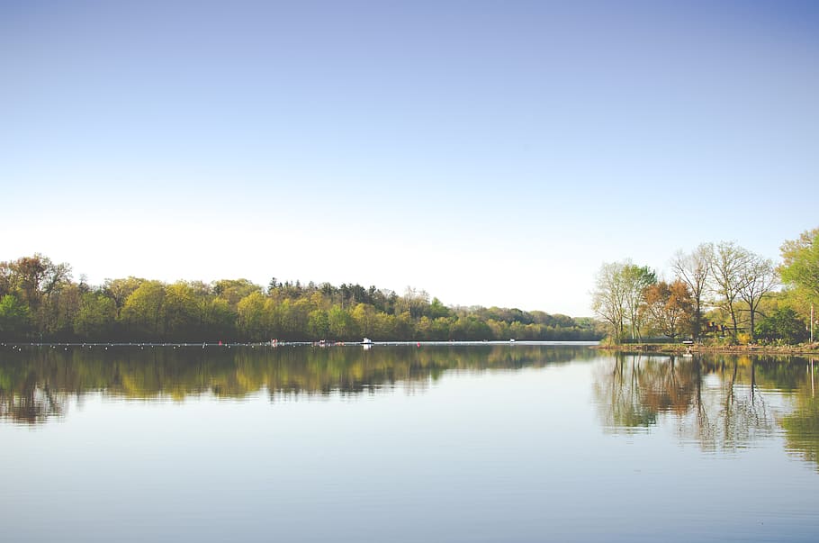 lake and trees during day, landscape photo of lake and forest