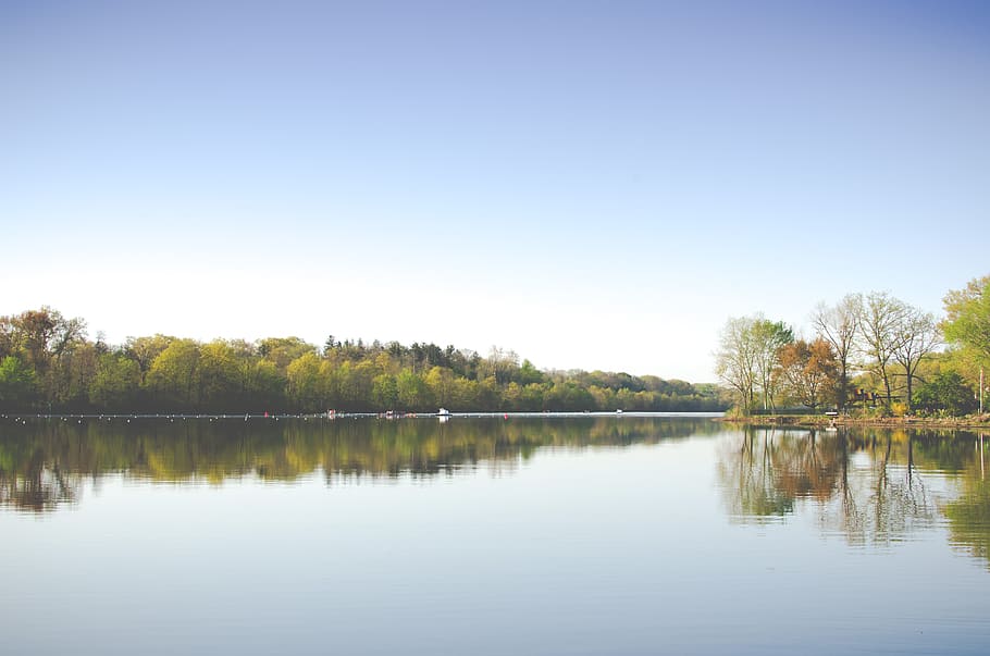 lake and trees during day, landscape photo of lake and forest HD wallpaper