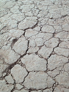 cracked, mud, dry, texture, earth, nature, soil, land, brown HD wallpaper